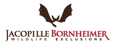 Cheektowaga Wildlife Removal